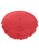 FIT model 21824945 - Enero