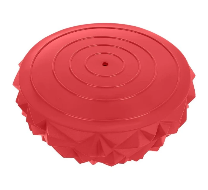 FIT model 21824945 - Enero