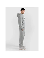 Pánské joggerové tepláky 4F 4FRMM00TTROM1625-27M