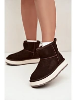 Dámské zimní boty z přírodního semiše s podšívkou Big Star Hnědé model 22539781 - Big Star Shoes Dámské zimní boty z přírodního semiše s podšívkou Big Star Hnědé model 22539781 - Big Star Shoes