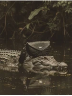 Dámská ikonická crossbody ledvinka Vuch Tricia Kaiman Black