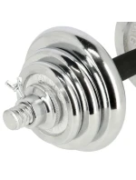 2 x 10 kg činky v model 21332637 - HMS