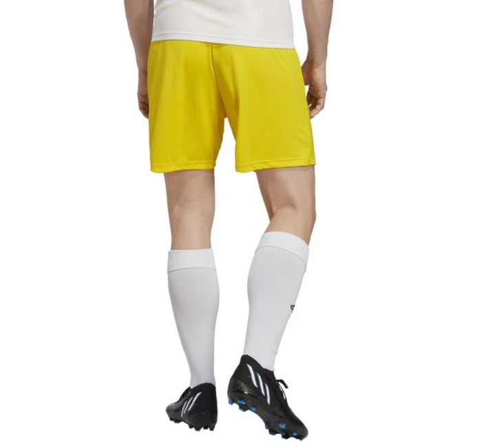 Pánské šortky Entrada 22 M IC7404 - Adidas