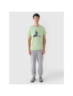 Pánské tričko s potiskem 4F 4FRAW24TTSHM2301-41S pánské Pánské tričko s potiskem 4F 4FRAW24TTSHM2301-41S pánské