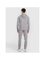 Spodnie  męskie model 21460734 - 4F