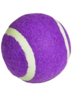 model 21825956 - Enero