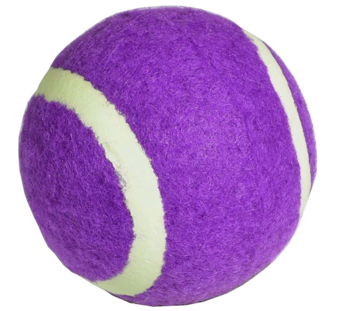 model 21825956 - Enero