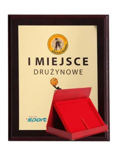 Plastový diplom s barevným dotykovým laminátem + pouzdro 305x245 mm