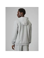 Pánská mikina s kapucí model 22117447 pánské - 4F