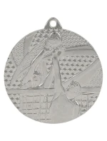 stříbrná medaile - volejbal