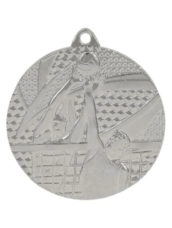 stříbrná medaile - volejbal