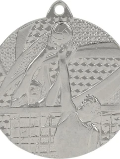 stříbrná medaile - volejbal