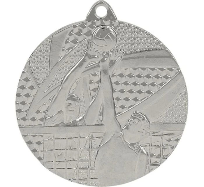 stříbrná medaile - volejbal