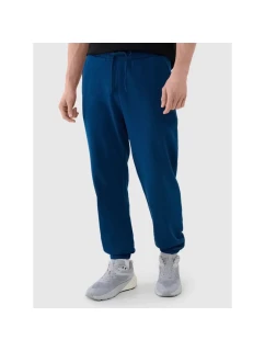 Kalhoty M model 21429284 - 4F