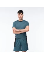 Pánské tričko s krátkým rukávem model 21353272 - IQ