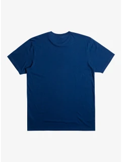 Pánské tričko model 21279761 - Roxy