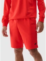 Pánské kraťasy 4F