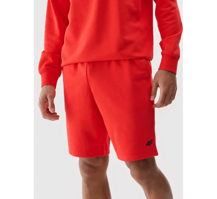 Pánské kraťasy 4F
