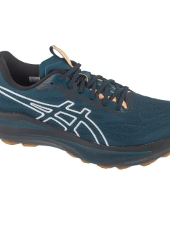 ASICS GT-2000 14 TR (1011C129-300)