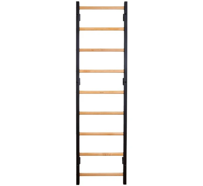 GYMNASTICKÝ ŽEBŘÍK S NASTAVITELNOU TYČÍ A ZÁBRADLÍM BENCHK 732B