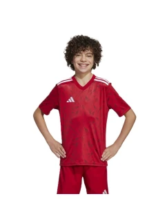 Tričko adidas Team Icon 25 Jr JM8362