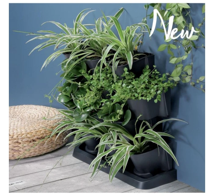 ZAHRADNÍ KVĚTINY STOJÍCÍ ANTHRACITE pro děti ZAHRADNÍ KVĚTINY STOJÍCÍ ANTHRACITE pro děti