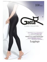 Dámské legíny - mikrovlákno 100 DEN-5 Dámské legíny - mikrovlákno 100 DEN-5