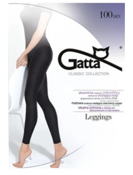 Dámské legíny - mikrovlákno 100 DEN-5 Dámské legíny - mikrovlákno 100 DEN-5