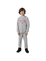 Chlapecká mikina Jr HJZ22 model 17719523 27M - 4F