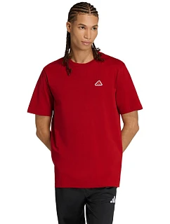Pánské tričko adidas Color Icon Graphic T-shirt red KT4444 pánské