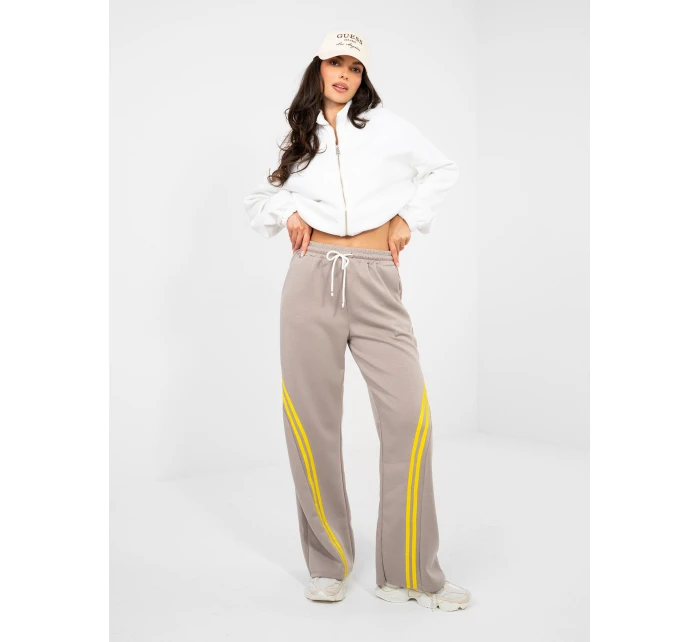 Spodnie dresowe IT DR model 22013669 ciemny bezowy - FPrice