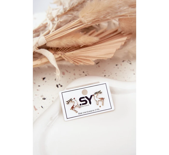 Náušnice model 21791543 ze chirurgické oceli - Boto Náušnice model 21791543 ze chirurgické oceli - Boto