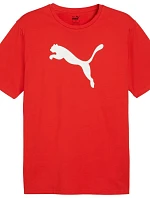 Puma Team Rise Logo Jersey Cotton M 658705 01 pánské