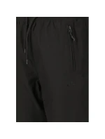 Dámské zimní kalhoty Whistler Fando W-PRO 10000