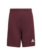 Squadra 21 Short Jr GN8081 - Adidas Squadra 21 Short Jr GN8081 - Adidas