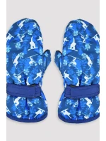 LYŽAŘSKÉ RUKAVICE RN046