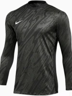 Mikina Nike Gardien V Goalkeeper DF V M FD7474-060