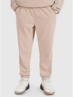 Pánské tepláky typu jogger model 21436775 - 4F