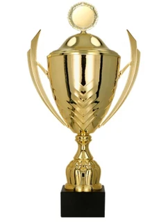 Kovový hrnek s víčkem