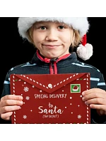 VÁNOČNÍ – PRO 26 x 16 cm, model 22382359 VÁNOČNÍ – PRO 26 x 16 cm, model 22382359