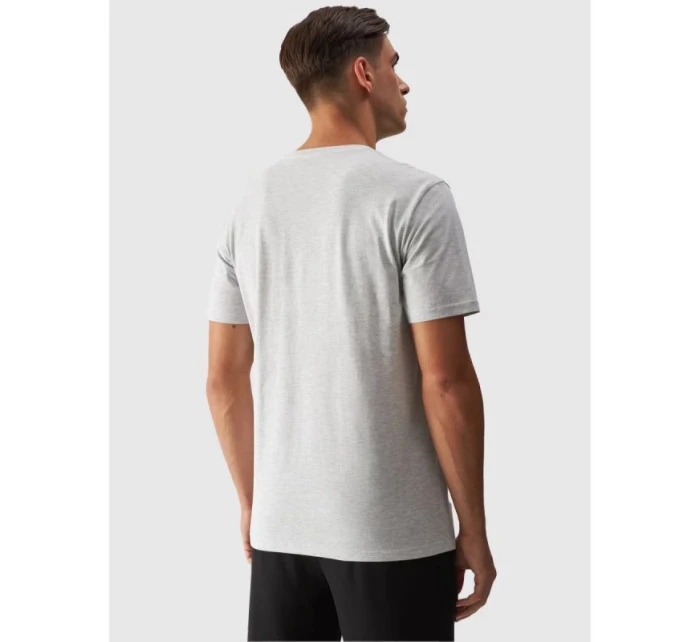 Pánské tričko s potiskem model 21432288 pánské - 4F Pánské tričko s potiskem model 21432288 pánské - 4F