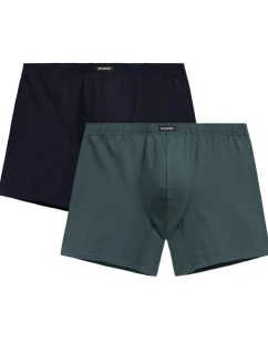 Pánské boxerky 2 pack 173 Long model 21412417 - Atlantic