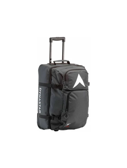 model 21445667 - Dynastar