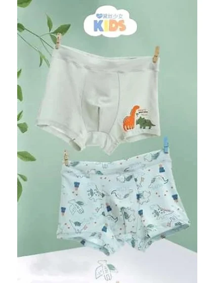 Chlapecké boxerky A'2 zelené model 21069639 - DC Polo Chlapecké boxerky A'2 zelené model 21069639 - DC Polo