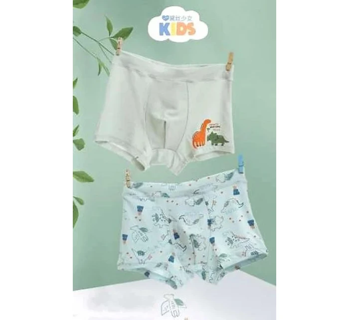 Chlapecké boxerky A'2 zelené model 21069639 - DC Polo Chlapecké boxerky A'2 zelené model 21069639 - DC Polo