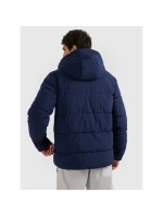 Pánská péřová bunda se syntetickou výplní 4F 4FRAW25TDJAM0794-31S pánské