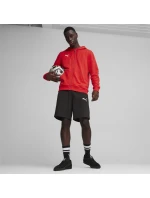 Mikina Puma Team Goal Casuals Hooded M 658595 01 pánské