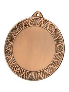 Celková stříbrná medaile s místem pro vložení