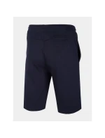 Pánské teplákové šortky model 21434718 - 4F Pánské teplákové šortky model 21434718 - 4F