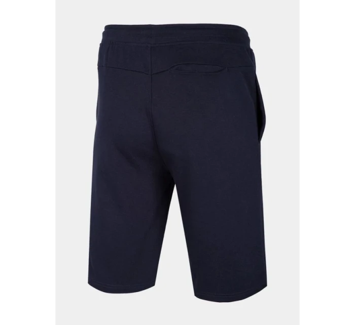 Pánské teplákové šortky model 21434718 - 4F Pánské teplákové šortky model 21434718 - 4F